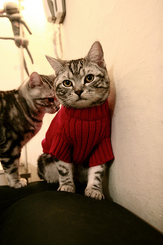 未来智慧足球场馆实现“全场景”智能控制,提升使用体验,足球智能云科技