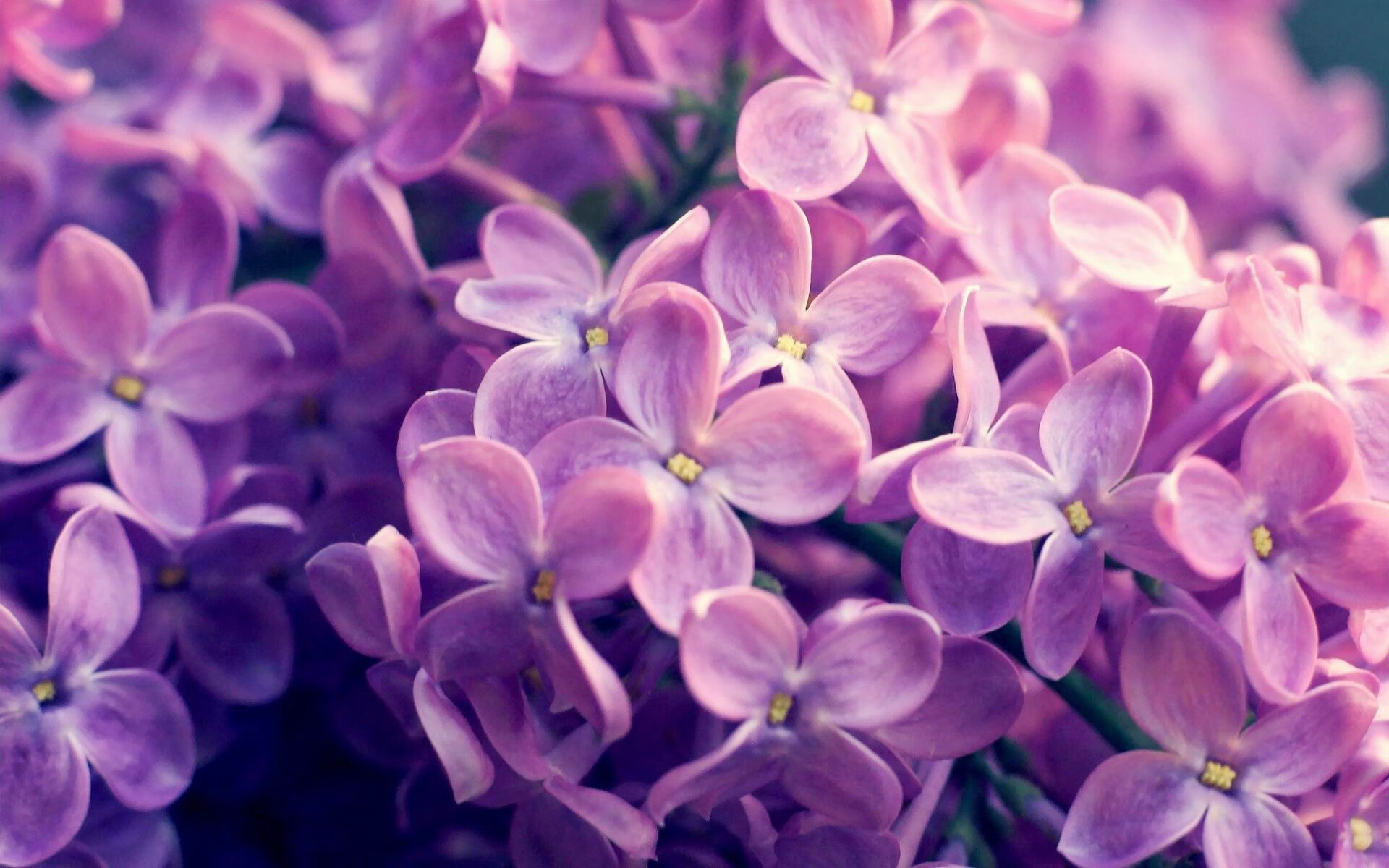 沃特·范阿特获得男子计时赛铜牌,范德沃特门将