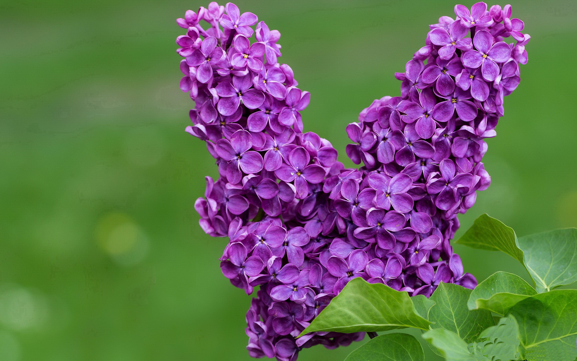 西班牙球员赛后落泪：我们拼尽全力，西班牙球员情况