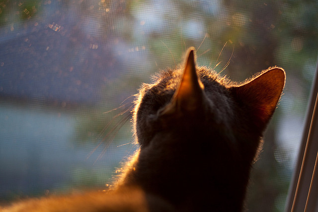 JDG教练组进行战术数据科学化培训