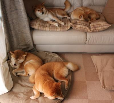 爱游戏app下载-全球杯篮球比赛中球员的留念照片走红网络，篮球杯冠名