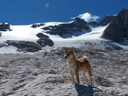 女足世界杯球迷文化节庆活动,女足世界杯参赛球队
