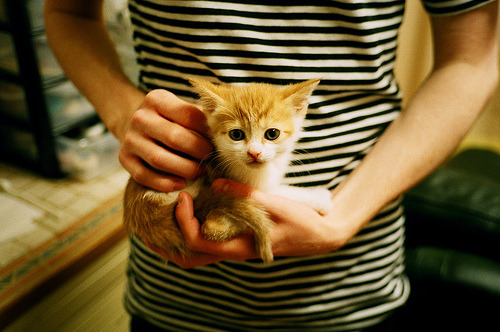 AYX官网-比赛中球队在绝境中挣扎，终于获得胜利，这场足球赛的胜败取决于队员们的齐心协力