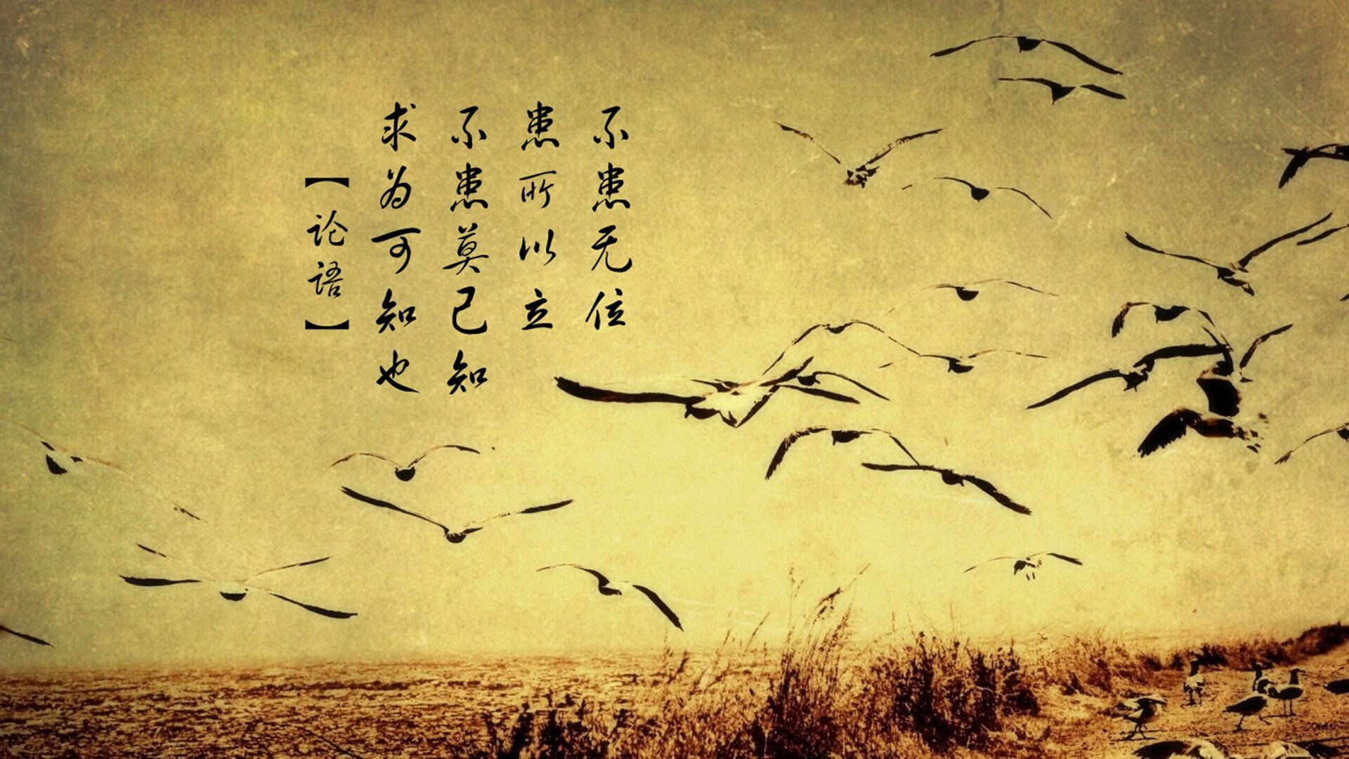 爱游戏中国官方登录入口网站-比利时足球队在比赛场上表现出超凡的实力，比利时足球队是强队吗