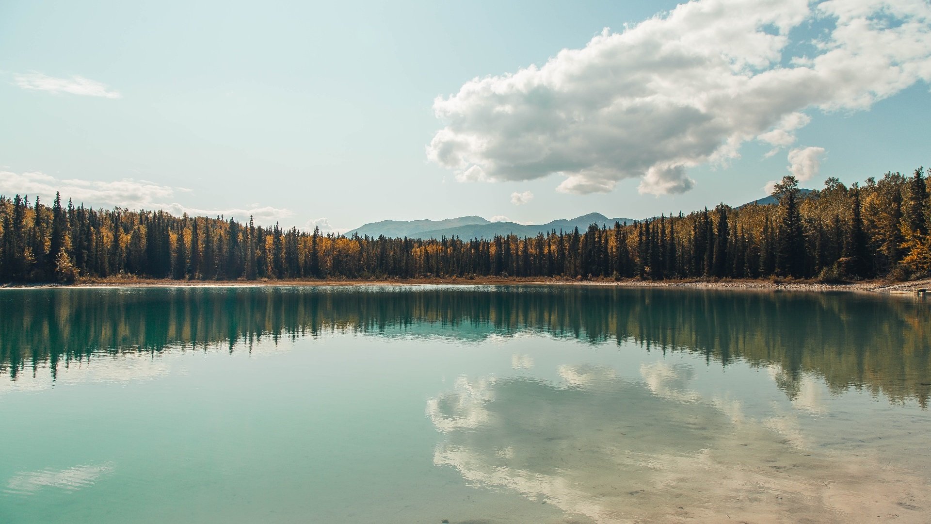 阿尔阿赫利防守反击效率提高,阿尔阿赫利vs帕尔梅拉斯
