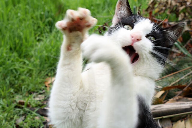 全国青少年高尔夫挑战赛在江苏顺利举行,全国青少年高尔夫球精英赛