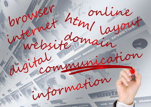 爱游戏 电竞-校园体育赛事品牌建设路径与传播策略研究，校园体育竞赛体系