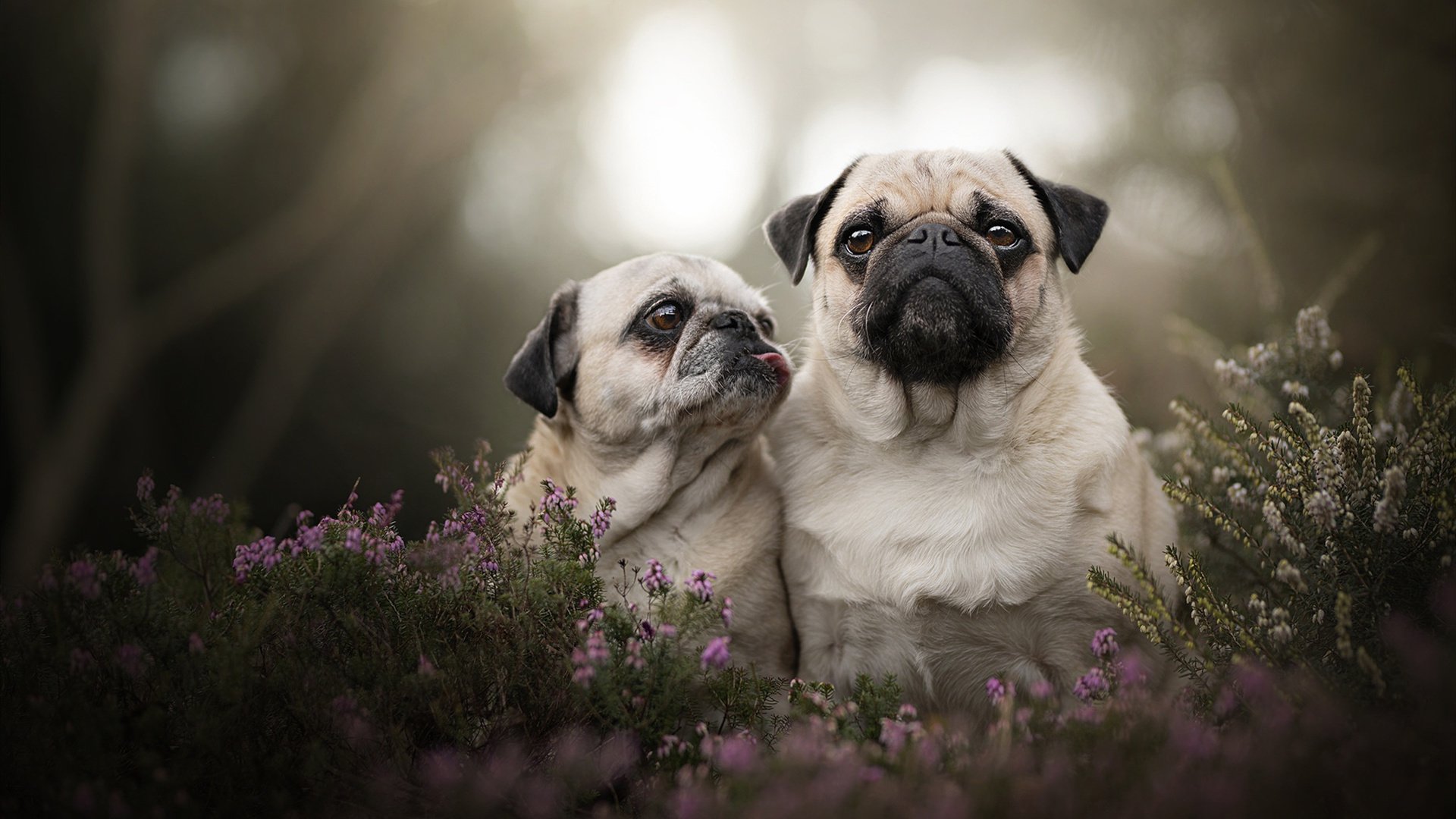 爱游戏中国官方网站平台-出发和转身动作对比赛影响分析，出发和动身是不是近义词
