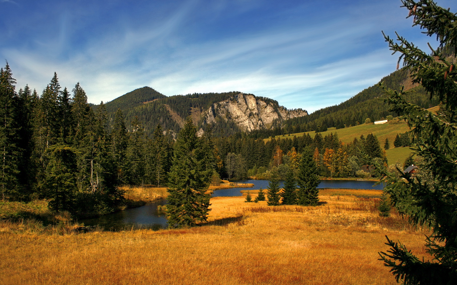 年轻一代球员心态成熟逐步承担关键责任,优秀年轻球员