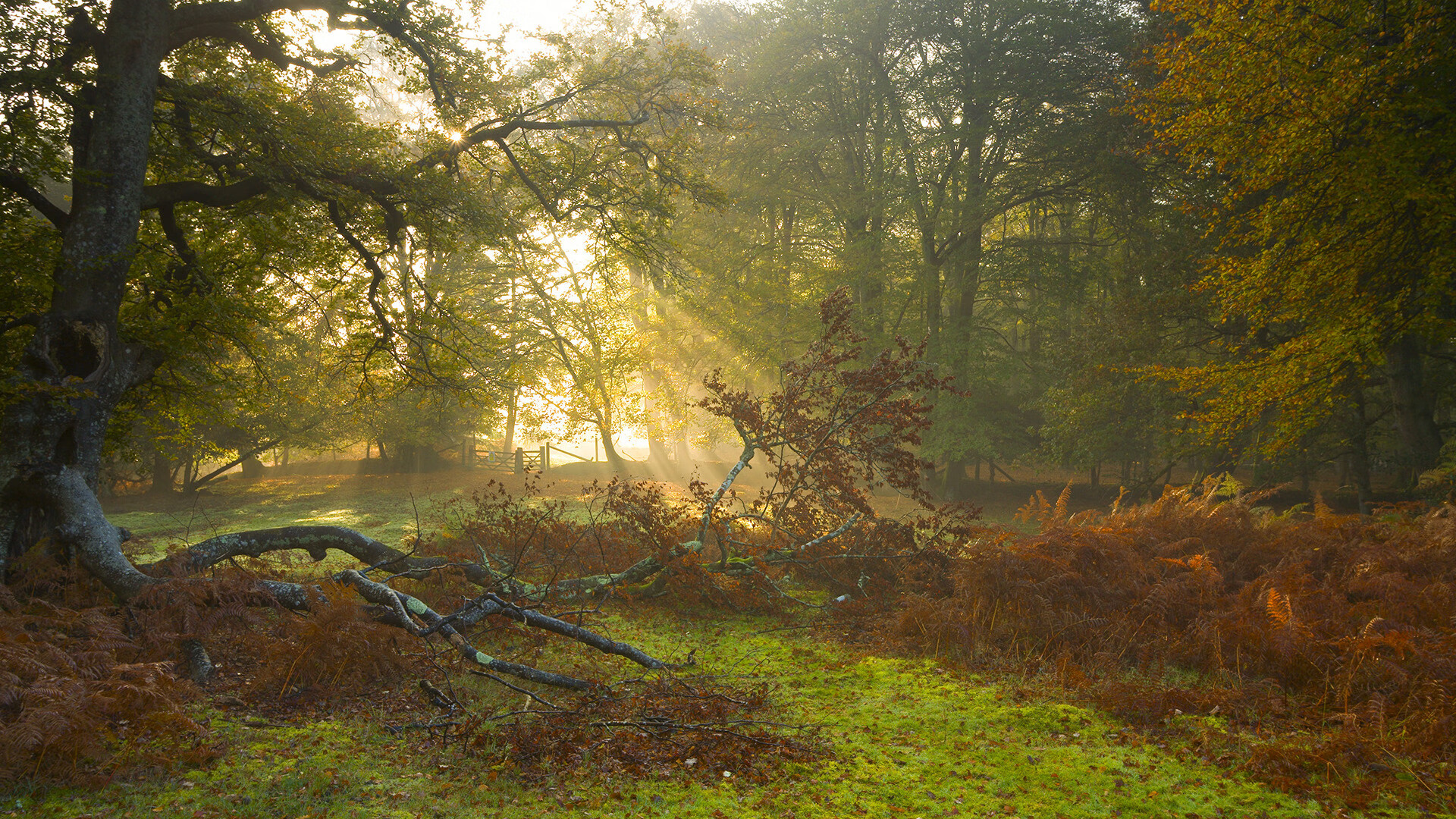 CBA推动俱乐部文化建设塑造独特城市标签,cba俱乐部名称大全